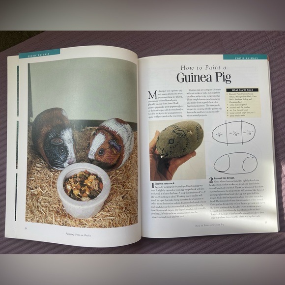 Book: Painting Pets on Rocks - Picture 4 of 7